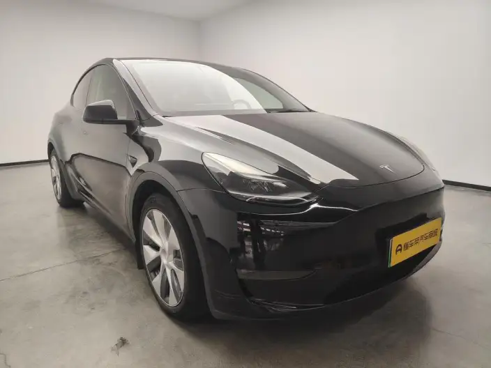 Model Y 2021 Model Standard Battery Life Rear-wheel drive version – фото 3