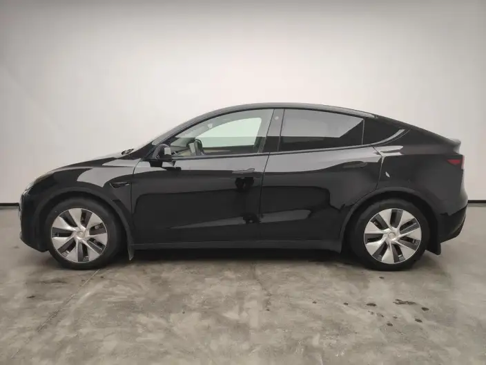 Model Y 2021 Model Standard Battery Life Rear-wheel drive version – фото 4