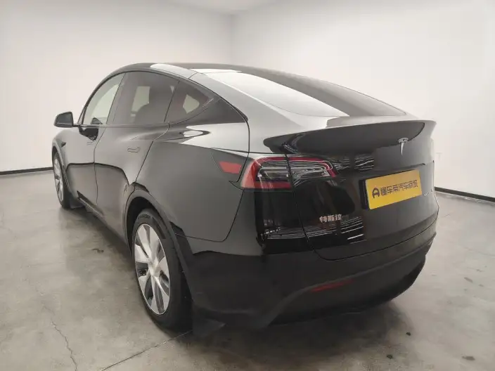 Model Y 2021 Model Standard Battery Life Rear-wheel drive version – фото 5