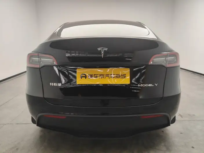 Model Y 2021 Model Standard Battery Life Rear-wheel drive version – фото 6