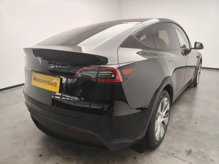 Model Y 2021 Model Standard Battery Life Rear-wheel drive version – фото 7