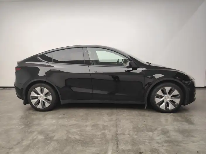 Model Y 2021 Model Standard Battery Life Rear-wheel drive version – фото 8