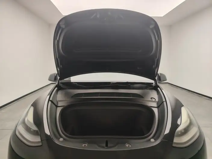 Model Y 2021 Model Standard Battery Life Rear-wheel drive version – фото 10
