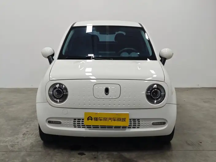 ORA Black Cat 2021 Model 351km Standard Model – фото 2