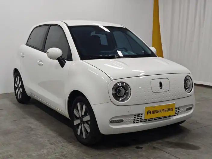 ORA Black Cat 2021 Model 351km Standard Model – фото 3