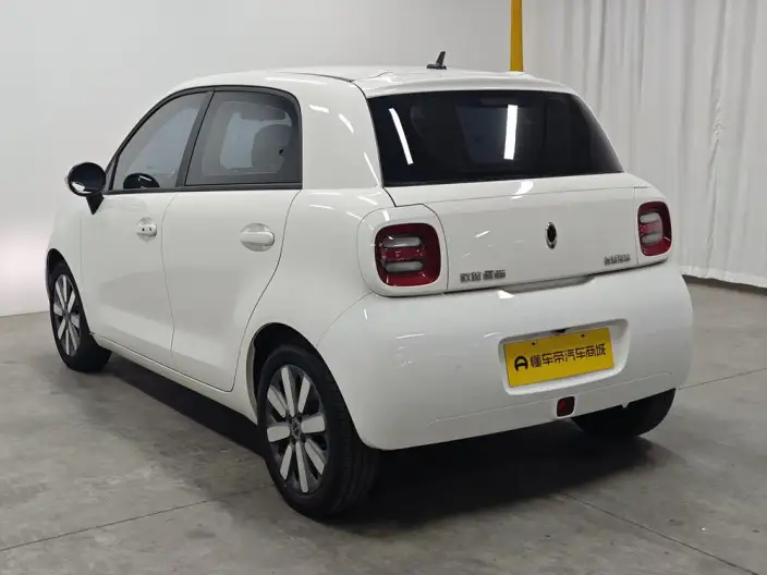ORA Black Cat 2021 Model 351km Standard Model – фото 5