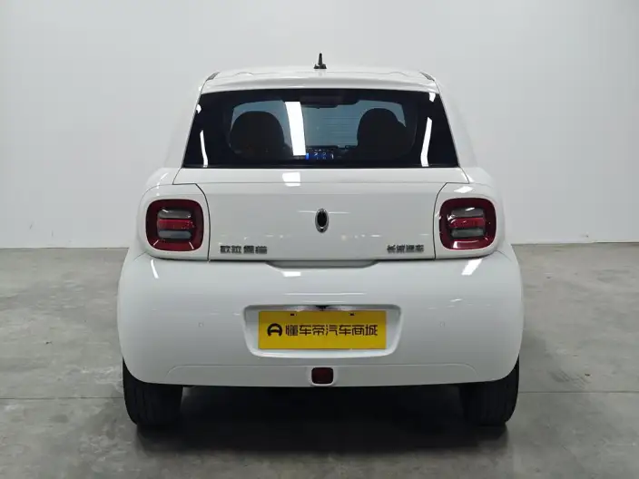 ORA Black Cat 2021 Model 351km Standard Model – фото 6
