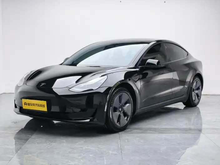 Model 3 2022 Model Rear-wheel drive version – фото 1