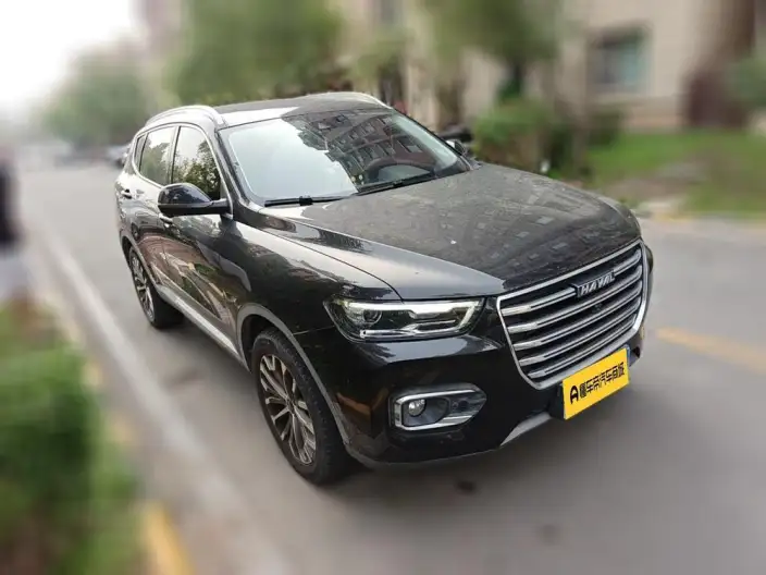 Haval H6 2020 Model 2.0GDIT Automatic Platinum Deluxe Edition – фото 3