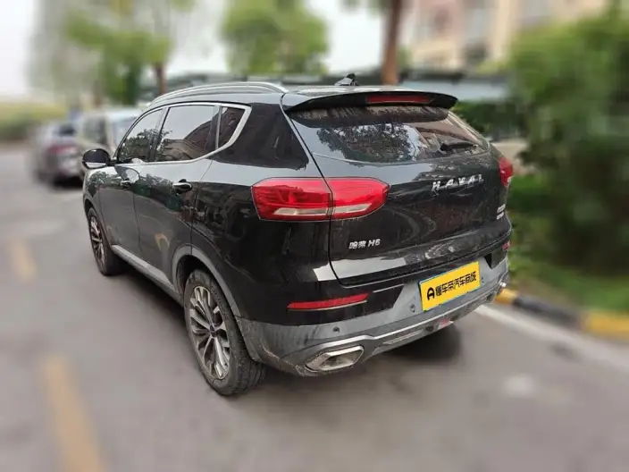 Haval H6 2020 Model 2.0GDIT Automatic Platinum Deluxe Edition – фото 4