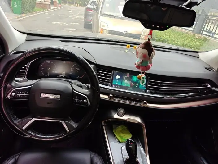Haval H6 2020 Model 2.0GDIT Automatic Platinum Deluxe Edition – фото 5