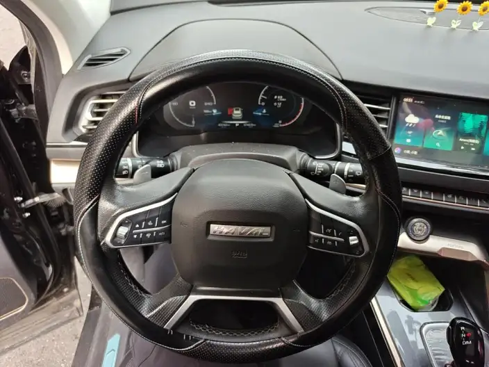 Haval H6 2020 Model 2.0GDIT Automatic Platinum Deluxe Edition – фото 7
