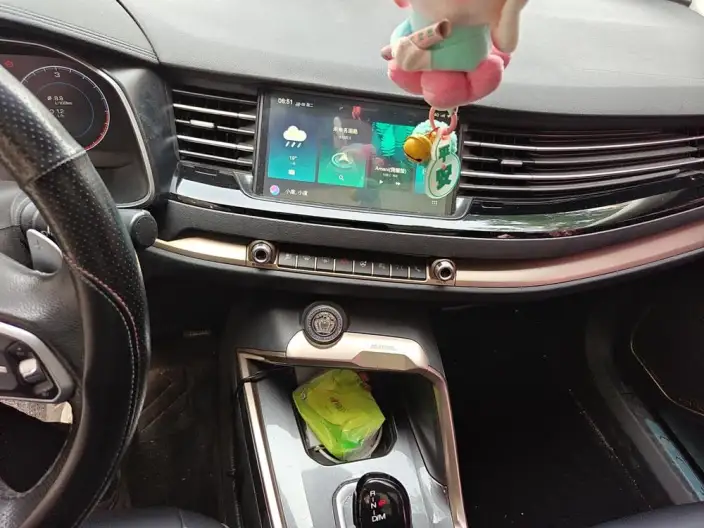 Haval H6 2020 Model 2.0GDIT Automatic Platinum Deluxe Edition – фото 8
