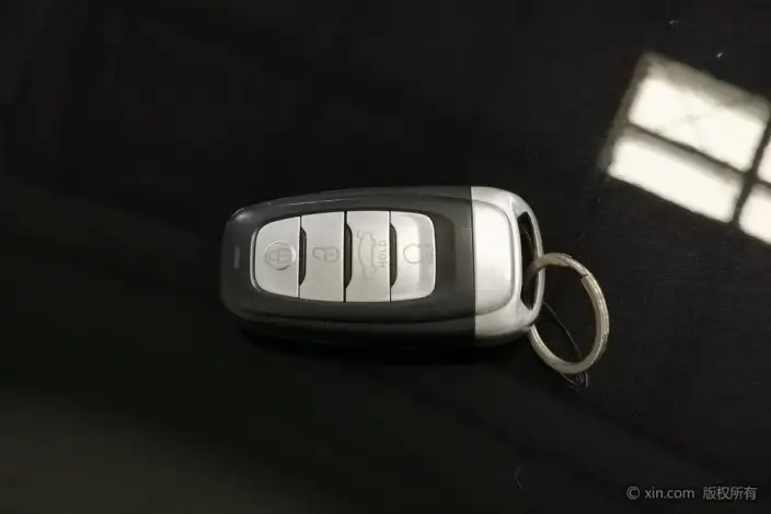 HONGQI H9 2020 Model 2.0T Smart Flag Enjoy Edition – фото 5