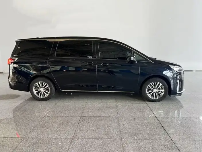 Buick GL8 2023 Model ES Luzun 2.0T Exclusive Model – фото 8
