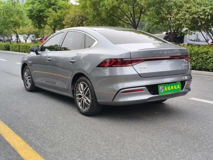 Qin Plus EV 2021 Model 500KM Noble Model – фото 5