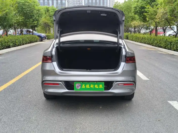 Qin Plus EV 2021 Model 500KM Noble Model – фото 6