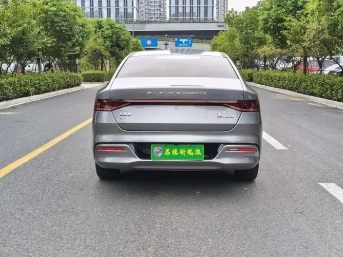 Qin Plus EV 2021 Model 500KM Noble Model – фото 9