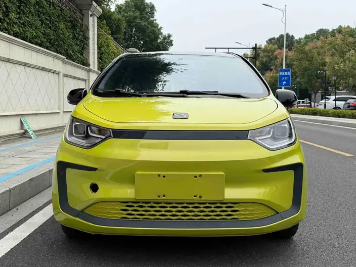 Sehol E10X 2021 Model 302km Fashion Model 31.4kWh