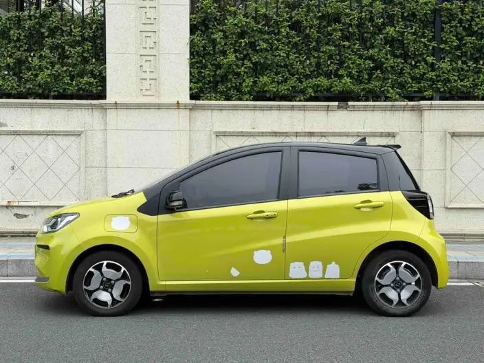 Sehol E10X 2021 Model 302km Fashion Model 31.4kWh