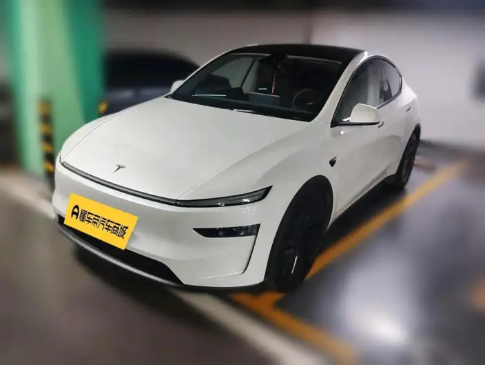 Model Y 2025 Model Facelift Long Battery Life Pro All-wheel drive version – фото 1