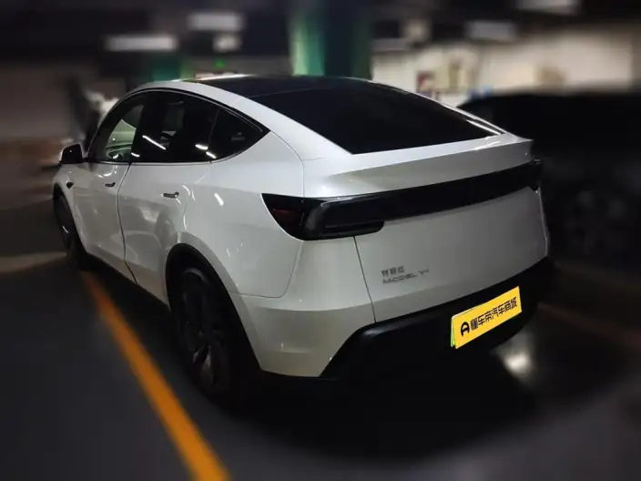 Model Y 2025 Model Facelift Long Battery Life Pro All-wheel drive version – фото 4