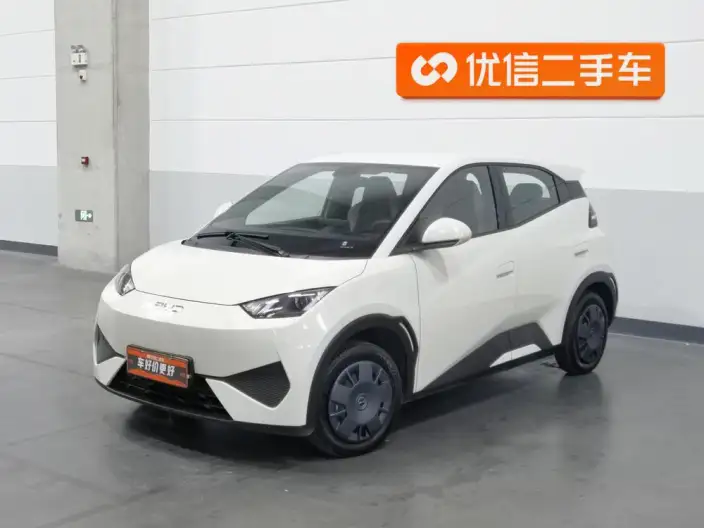 BYD Seagull 2025 Model Smart Driving Edition 305KM Vitality Edition – фото 1