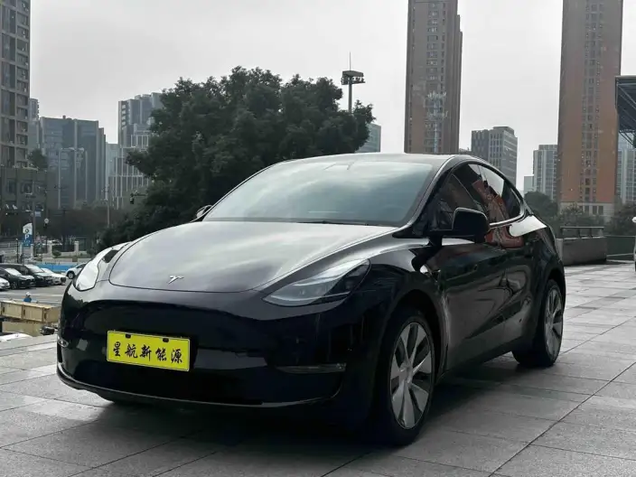 Model Y 2022 Model Long Battery Life Pro All-wheel drive version – фото 1