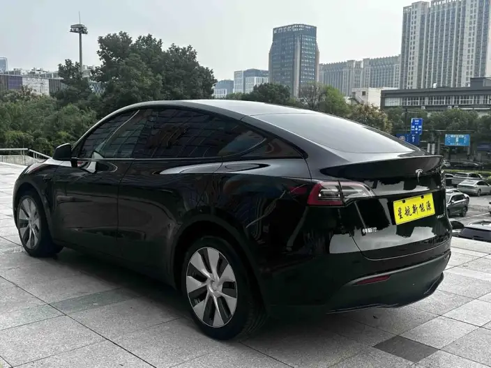 Model Y 2022 Model Long Battery Life Pro All-wheel drive version – фото 5