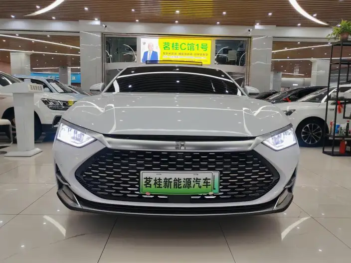BYD Han DM 2020 Model DM 4WD performance version Noble Model – фото 2