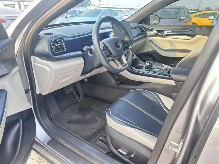 Qin Plus EV 2021 Model 500KM Noble Model – фото 8