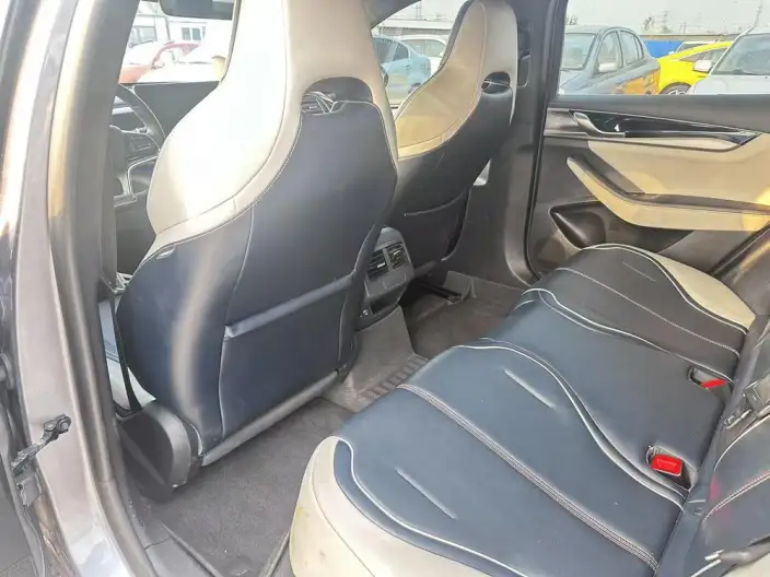 Qin Plus EV 2021 Model 500KM Noble Model – фото 9