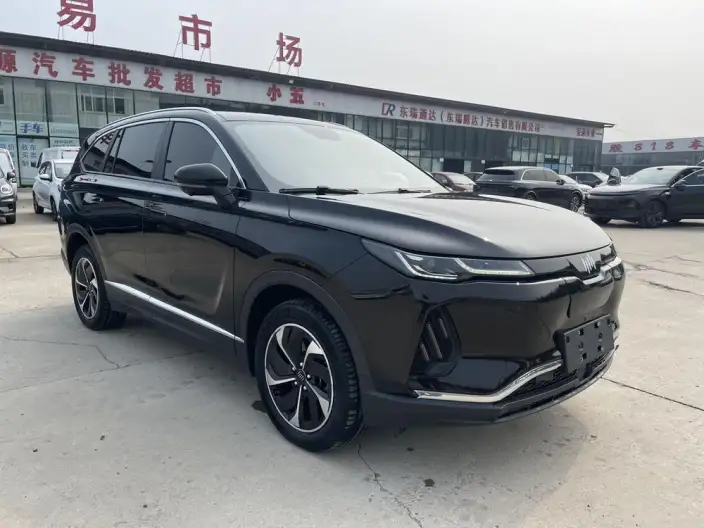 Weltmeister EX6 2020 Model 400 Light Edition