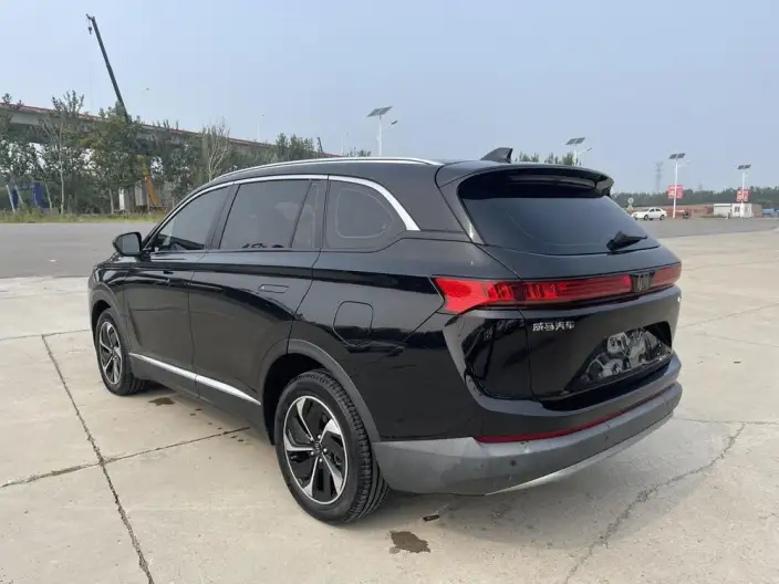 Weltmeister EX6 2020 Model 400 Light Edition – фото 5