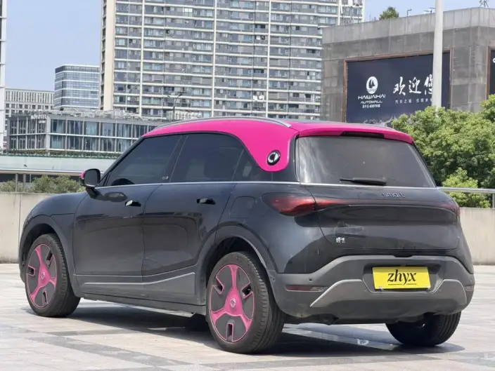 smart #1 2022 Model Premium