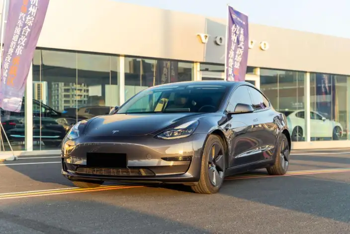 Model 3 2021 Model Standard Battery Life Rear Drive L Class Edition – фото 1