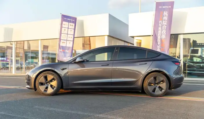Model 3 2021 Model Standard Battery Life Rear Drive L Class Edition – фото 4