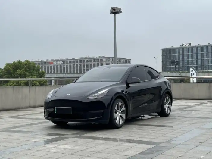 Model Y 2021 Model Standard Battery Life Rear-wheel drive version – фото 1