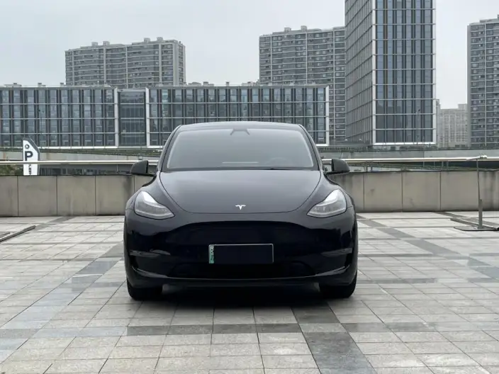 Model Y 2021 Model Standard Battery Life Rear-wheel drive version – фото 2