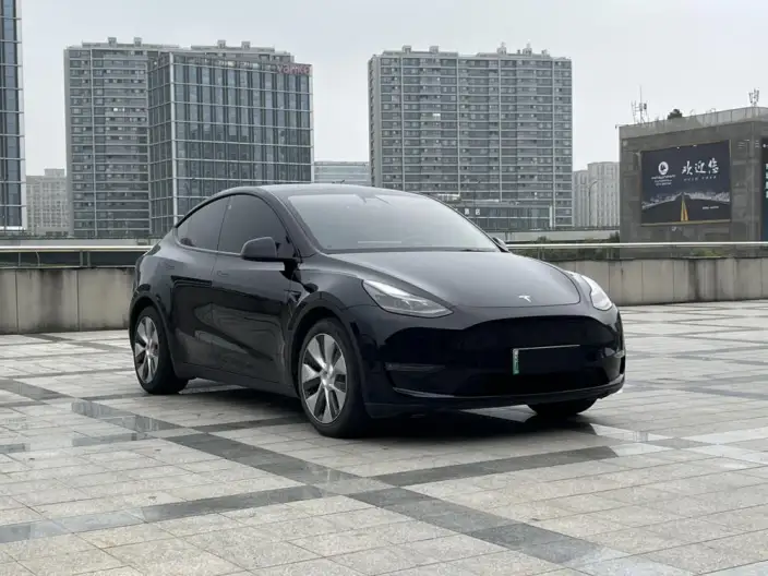 Model Y 2021 Model Standard Battery Life Rear-wheel drive version – фото 3