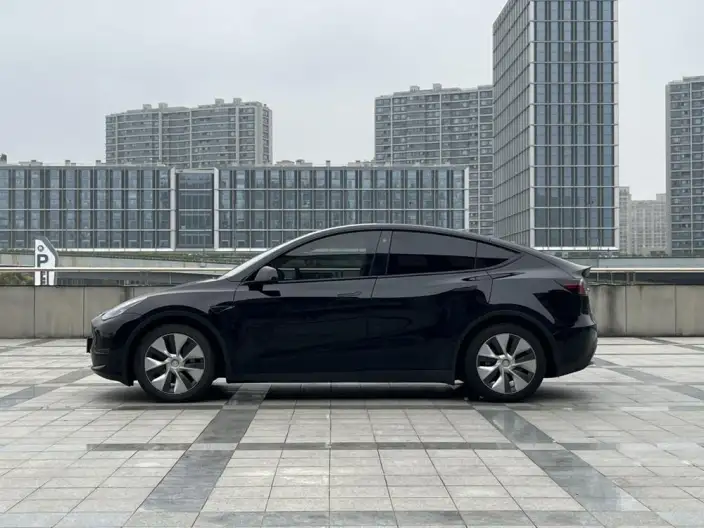 Model Y 2021 Model Standard Battery Life Rear-wheel drive version – фото 4