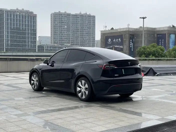 Model Y 2021 Model Standard Battery Life Rear-wheel drive version – фото 5