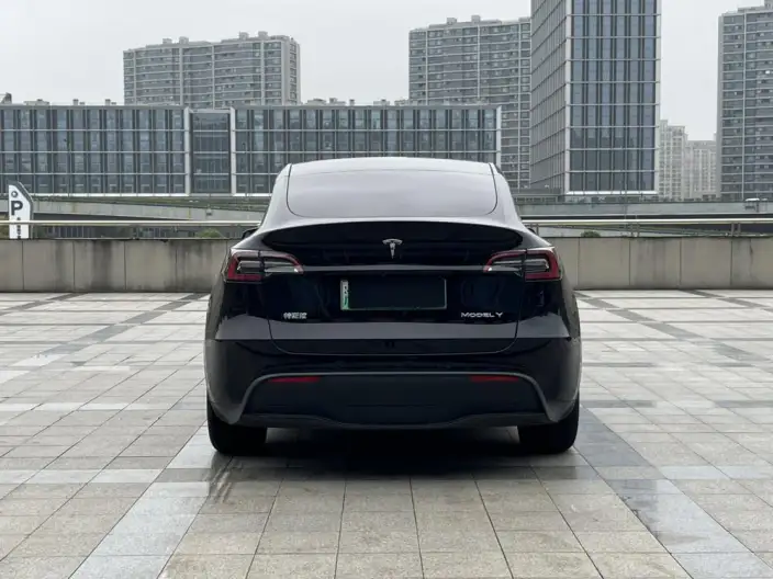 Model Y 2021 Model Standard Battery Life Rear-wheel drive version – фото 6