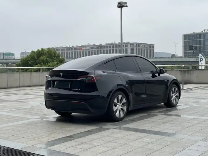 Model Y 2021 Model Standard Battery Life Rear-wheel drive version – фото 7