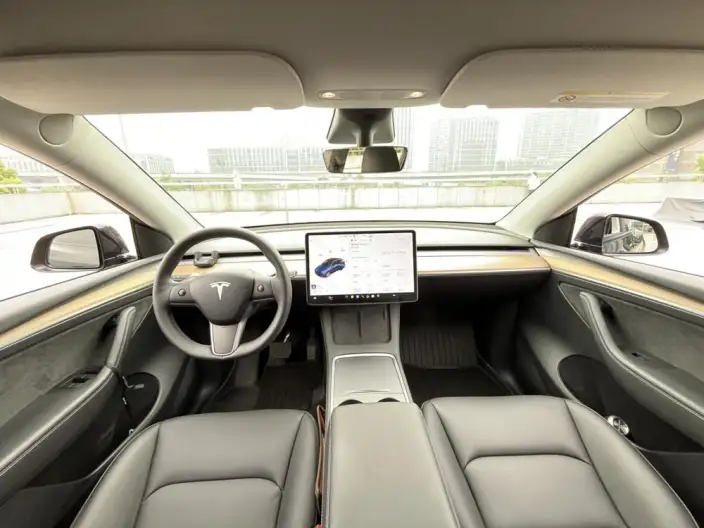 Model Y 2021 Model Standard Battery Life Rear-wheel drive version – фото 10