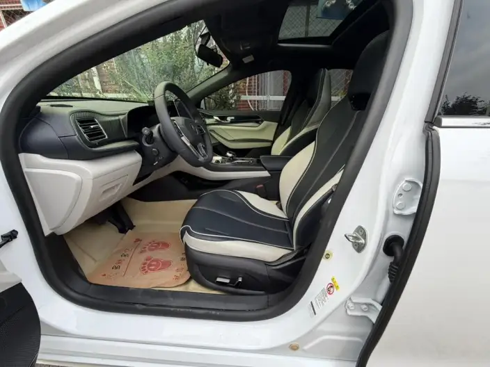 BYD Qin PLUS DM 2021 Model DM-i 55KM Noble Model – фото 7