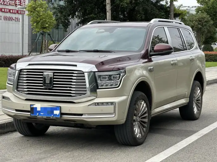 Tank 500 2022 Model Customized Edition 5 seat – фото 1