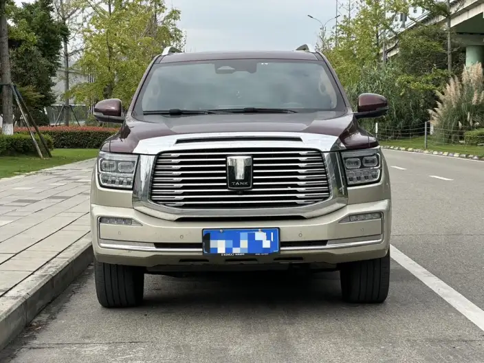 Tank 500 2022 Model Customized Edition 5 seat – фото 2