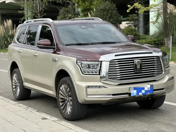 Tank 500 2022 Model Customized Edition 5 seat – фото 3