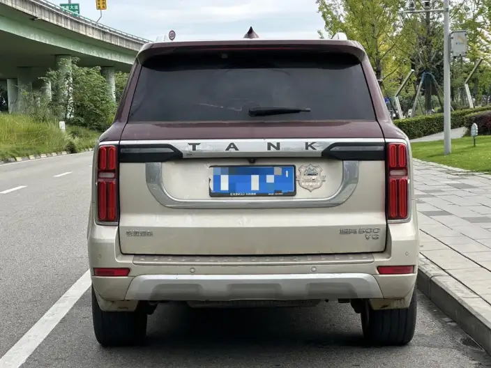 Tank 500 2022 Model Customized Edition 5 seat – фото 5